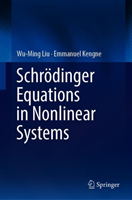 Schrödinger Equations in Nonlinear Systems