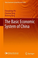 Basic Economic System of China