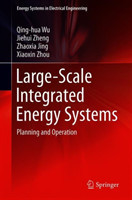 Large-Scale Integrated Energy Systems