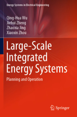 Large-Scale Integrated Energy Systems