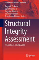 Structural Integrity Assessment