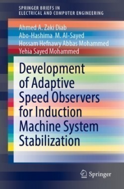 Development of Adaptive Speed Observers for Induction Machine System Stabilization