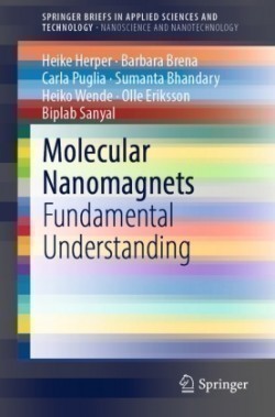 Molecular Nanomagnets