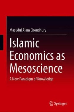 Islamic Economics as Mesoscience