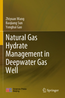 Natural Gas Hydrate Management in Deepwater Gas Well