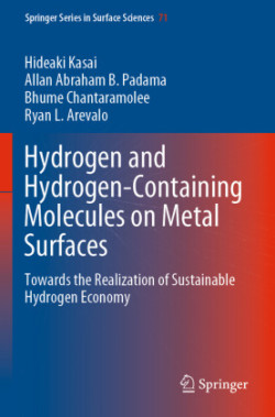 Hydrogen and Hydrogen-Containing Molecules on Metal Surfaces