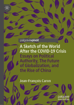 Sketch of the World After the COVID-19 Crisis
