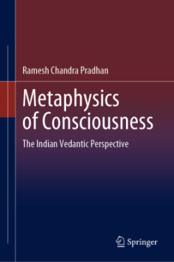 Metaphysics of Consciousness
