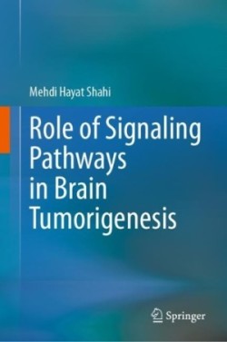 Role of Signaling Pathways in Brain Tumorigenesis