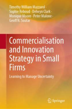 Commercialisation and Innovation Strategy in Small Firms