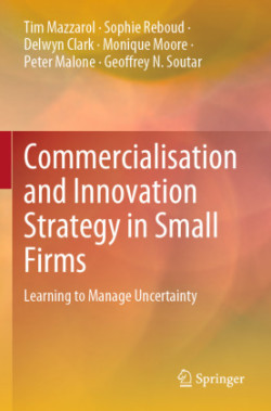 Commercialisation and Innovation Strategy in Small Firms