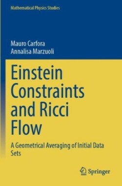 Einstein Constraints and Ricci Flow