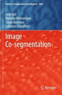 Image Co-segmentation