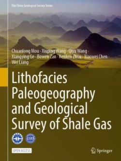 Lithofacies Paleogeography and Geological Survey of Shale Gas