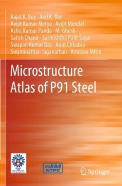 Microstructure Atlas of P91 Steel