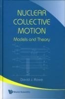 Nuclear Collective Motion: Models And Theory