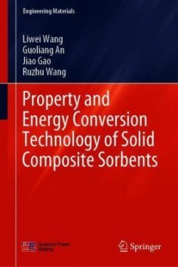 Property and Energy Conversion Technology of Solid Composite Sorbents