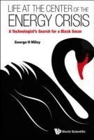 Life At The Center Of The Energy Crisis: A Technologist's Search For A Black Swan