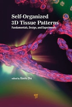 Self-Organized 3D Tissue Patterns