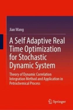 Self Adaptive Real Time Optimization for Stochastic Dynamic System