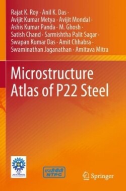 Microstructure Atlas of P22 Steel