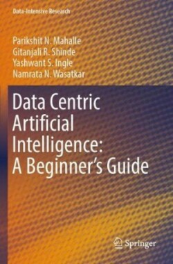 Data Centric Artificial Intelligence: A Beginner’s Guide