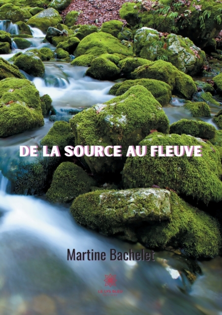 De la source au fleuve