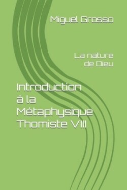 Introduction à la Métaphysique Thomiste VIII