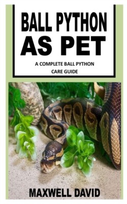 Ball Python as Pet