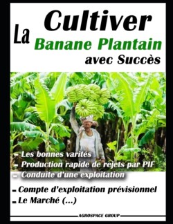 Cultiver la banane plantain