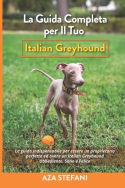 La Guida Completa per Il Tuo Italian Greyhound