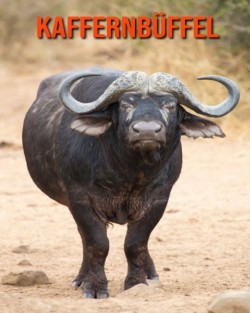 Kaffernbuffel