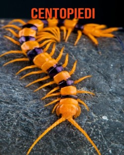 Centopiedi