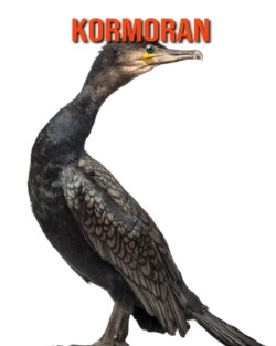 Kormoran