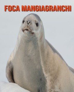 Foca mangiagranchi