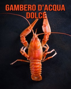 Gambero d'acqua dolce