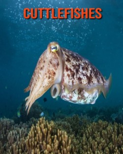 Cuttlefishes