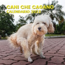 Cani Che Cagano Calendario 2022