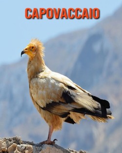 Capovaccaio