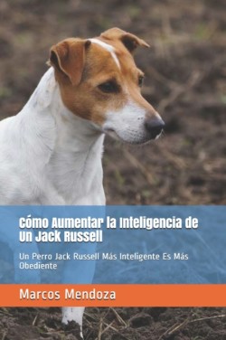 Cómo Aumentar la Inteligencia de Un Jack Russell