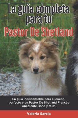 Guía Completa Para Tu Pastor De Shetland