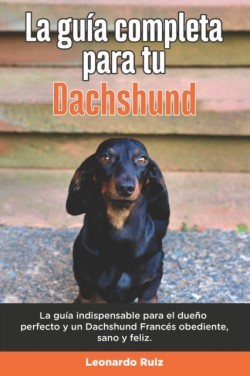 Guía Completa Para Tu Dachshund