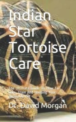 Indian Star Tortoise Care