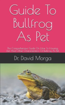 Guide To Bullfrog As Pet