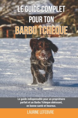 Le guide complet pour ton Barbu Tchèque