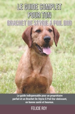 Le guide complet pour ton Brachet De Styrie À Poil Dur