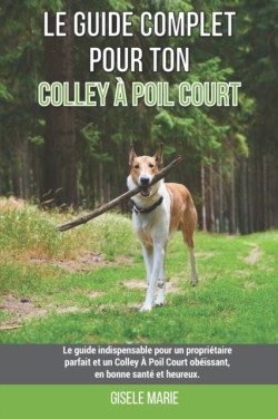 Le guide complet pour ton Colley À Poil Court