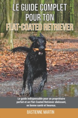 Le guide complet pour ton Flat-Coated Retriever