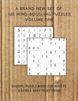 brand new set of 120 mind-boggling puzzles Volume one