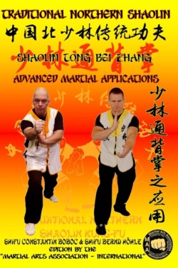 Shaolin Tong Bei Zhang - Advanced Martial Applications